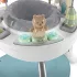 Ingenuity Aktív Centrum 2in1 Spring & Sprout™ 6 Hónapos Kortól 11Kg-ig - Fejlesztő Játékokkal, Stabil és Biztonságos Mozgásfejlesztő