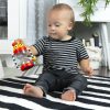 Baby Einstein Cal's Sensory Shake-up™ Fejlesztő Csörgő Játék 3 Hónapos Kortól