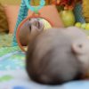 Bright Starts Játszószőnyeg Játékhíddal Wild Wiggles - Színes, Fejlesztő Aktivitás Játéktér Újszülött Kortól