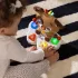 Baby Einstein Drum & Learn Dean Zenélő Fejlesztő Baba Játék - Interaktív Dob Fényekkel és Hangokkal, 6 Hónapos Kortól