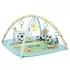 Baby Einstein Obal Bright Starts Gyp & Kick™ Játszószőnyeg Játékhíddal Újszülött Kortól