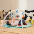 Baby Einstein Happy Harvest Játszószőnyeg Tapintható Játékokkal, Újszülött Kortól