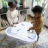 Ingenuity PlayStage 3 az 1-ben Ugráló és Foglalkoztató Központ Asztallal, 6 Hónapos Kortól