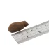 Fish4Dogs Emésztést Támogató Jutalomfalat Kutyáknak Fehér Hal Darabokkal 225g, Kíméletes Halas Motivációhoz