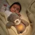 Nattou Sleepy Bear Beige 4 az 1-ben Altató Plüss Zenei Fényjelzővel és Sírásérzékelővel Újszülött Kortól - Nyugodt Altatáshoz Okos Gyerekszobai Segítség