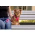 Curli Kutyapóráz Comfort Fuchsia M – Stabil Vezetéshez és Mindennapi Sétákhoz