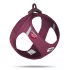 Curli Air-Mesh Ruby Kutyahám 6-9kg, Kényelmes Illeszkedéssel és Biztonságos Sétákhoz - NaturalBabyShop.hu termékkép