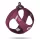 Curli Air-Mesh Ruby Kutyahám XL 12-18kg, Kényelmes Illeszkedéssel és Biztonságos Sétákhoz - NaturalBabyShop.hu termékkép