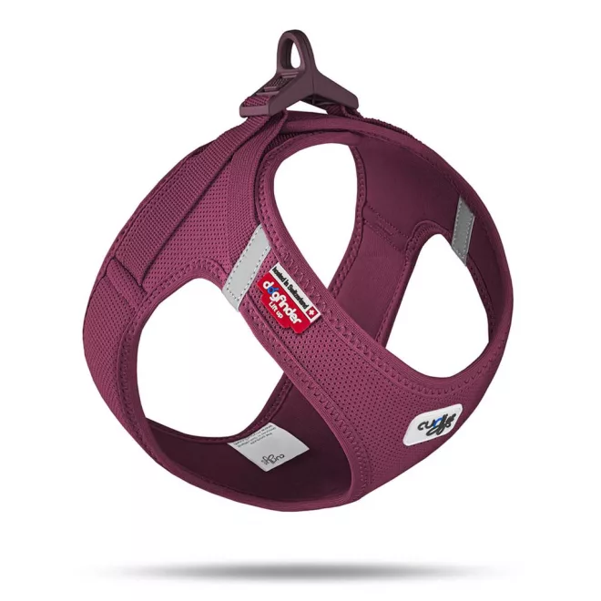 Curli Air-Mesh Ruby Kutyahám XL 12-18kg, Kényelmes Illeszkedéssel és Biztonságos Sétákhoz - NaturalBabyShop.hu termékkép