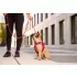 Curli Air-Mesh Ruby Kutyahám XL 12-18kg, Kényelmes Illeszkedéssel és Biztonságos Sétákhoz - NaturalBabyShop.hu termékkép