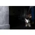 Curli Glow Reflective Szürke Kutyahám XL 12-18kg, Kényelmes Illeszkedéssel és Biztonságos Sétákhoz - NaturalBabyShop.hu termékkép