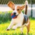 Nerf Dog Kék Sípoló Tüskés Labda Kutyáknak 6,9cm, Aktív Játékhoz és Apportozáshoz