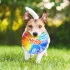 Nerf Dog Kutyajáték Színes Fogantyúval Ellátott Korong 24 Cm – Aktív Játékhoz és Lefárasztáshoz