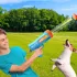 Nerf Dog Ajándék Szett – 30 Cm Kompakt Blaster és 2 Db Sípolás Nélküli Teniszlabda – Praktikus Választás Mindennapi Használatra
