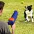 Nerf Dog Kutyajáték Blaster 30 Cm Klip Nélküli Labdával + 3 Db Sípoló Teniszlabda 5 Cm – Aktív Játékhoz és Lefárasztáshoz