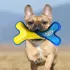 Nerf Dog Kutyajáték Tartós Csont Plüss Nylon Töltettel 28 Cm – Aktív Játékhoz és Lefárasztáshoz