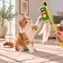 Pringles Tollas Plüss Macskajáték Elkapáshoz és Üldözéshez, Zöld