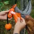 Explorer Dog Kutyaürülék Zacskók Tárolóval - 15 Db Tekercsben – Stabil Vezetéshez és Mindennapi Sétákhoz