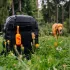 Explorer Dog Kutyaürülék Zacskók Tárolóval - 15 Db Tekercsben – Stabil Vezetéshez és Mindennapi Sétákhoz