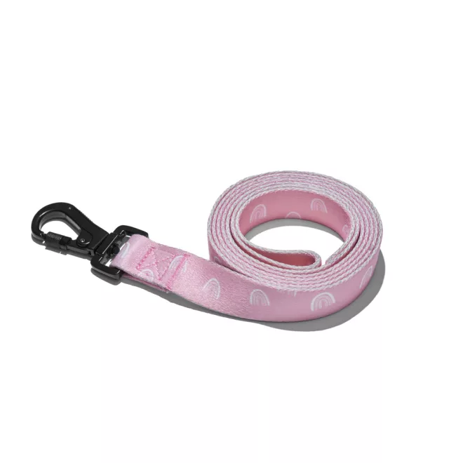 Explorer Dog Póráz Szivárvány L - 170x2,5 Cm – Stabil Vezetéshez és Mindennapi Sétákhoz