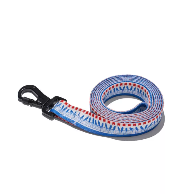 Explorer Dog Póráz Madarak L - 170x2,5 Cm – Stabil Vezetéshez és Mindennapi Sétákhoz