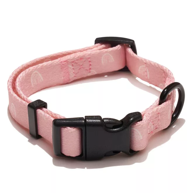 Explorer Dog Kutya Nyakörv Rainbow S - 24-36x1, 5 Cm – Kényelmes és Tartós Mindennapi Használatra