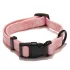 Explorer Dog Kutya Nyakörv Rainbow S - 24-36x1, 5 Cm – Kényelmes és Tartós Mindennapi Használatra