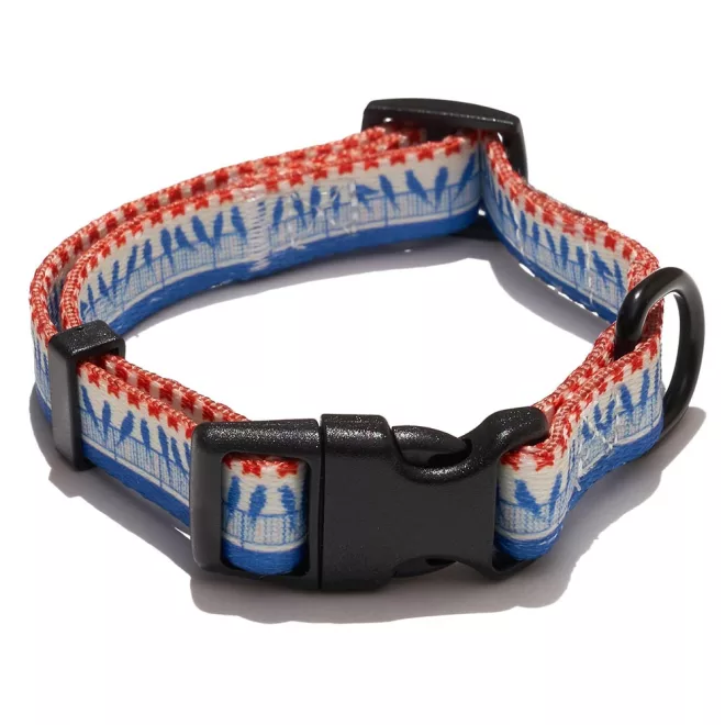 Explorer Dog Kutya Nyakörv Madarak S - 24-36x1, 5 Cm – Kényelmes és Tartós Mindennapi Használatra