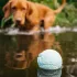Explorer Dog Airball Pöttyös 8 Cm – Praktikus Választás Mindennapi Használatra