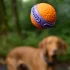 Explorer Dog Airball Dent 6 Cm – Praktikus Választás Mindennapi Használatra