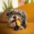 Explorer Dog Himalája Csemege Lenmaggal XXL – Kéznél Lévő Falatokhoz Kutyakiképzésnél