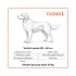 Explorer Dog Cloud L 115x90 Moha Zöld Ortopéd Kutyafekhely, Kétrétegű Memóriahabos Ízülettámogatással