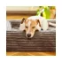 Explorer Dog Cloud S 80x60 Dusty Pink Ortopéd Kutyafekhely, Kétrétegű Memóriahabos Ízülettámogatással