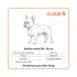 Explorer Dog Cloud S 80x60 Mocha Brown Ortopéd Kutyafekhely, Kétrétegű Memóriahabos Ízülettámogatással
