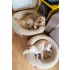 Explorer Dog Ortopéd Kutyafekhely Dognut S/M 76cm Sandy Beige – Ortopéd Kialakítással a Kényelmes Pihenéshez