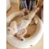 Explorer Dog Ortopéd Kutyafekhely Dognut M/L 100cm Sandy Beige – Ortopéd Kialakítással a Kényelmes Pihenéshez