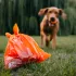 Explorer Dog Újrahasznosított Kutyaürülék Zacskó 48x15db, Praktikus Higiéniai Kiegészítő Sétákhoz
