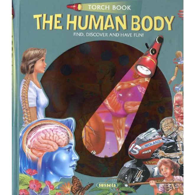 Torch Book The Human Body English Book - Angol Nyelvű Gyermek és Ifjúsági Ismeretterjesztő Könyv 5 Éves Kortól