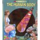 Torch Book The Human Body English Book - Angol Nyelvű Gyermek és Ifjúsági Ismeretterjesztő Könyv 5 Éves Kortól