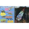 Torch Book Dinosaurs English Book - Angol Nyelvű Gyermek és Ifjúsági Ismeretterjesztő Könyv 5 Éves Kortól