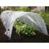 Strend Pro Garden Mini Fóliasátor Palántanevelő 55x600x40cm - Hőszigetelő Növényvédő Alagút, Fagyvédelemmel