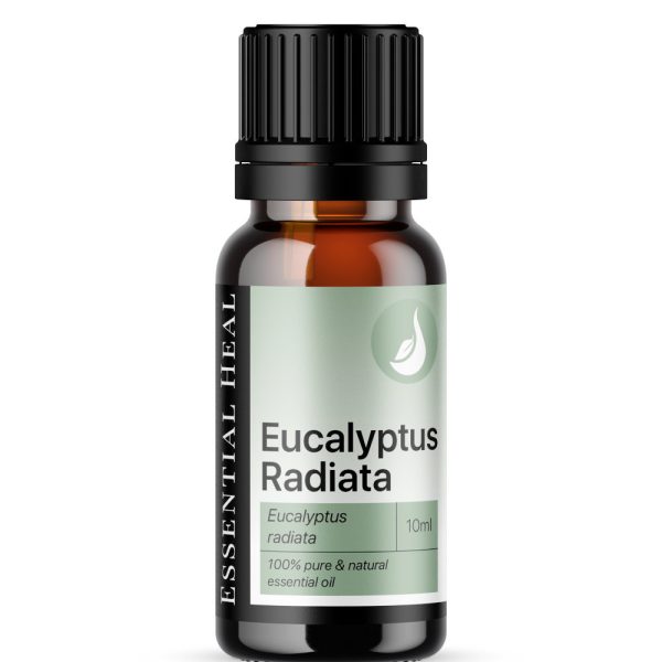 Essential Heal Eucalyptus Radiata Illóolaj 10ml