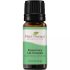 Essential Heal Rozmaring Illóolaj 1.8 Cineole Rosmarinus Officinalis Természetes Gőzdesztillált Memóriafokozó és Légúttisztító Aromaterápiás Olaj 10ml