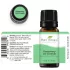 Essential Heal Rozmaring Illóolaj 1.8 Cineole Rosmarinus Officinalis Természetes Gőzdesztillált Memóriafokozó és Légúttisztító Aromaterápiás Olaj 10ml